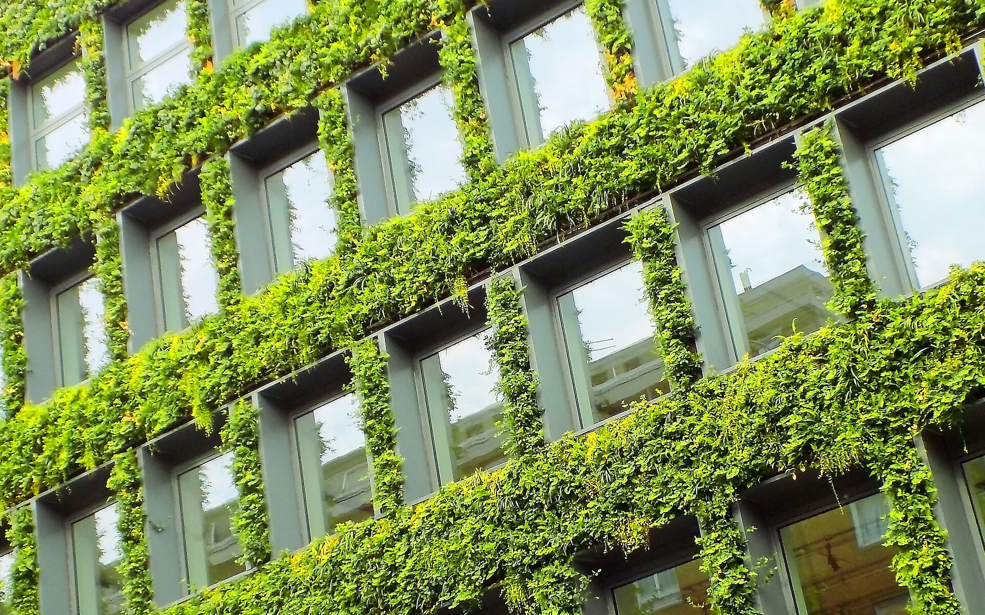 Edificio sostenible: Fachada viva que permite regular temperatura en el interior del edificio.